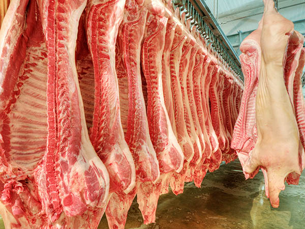 鲜猪肉
