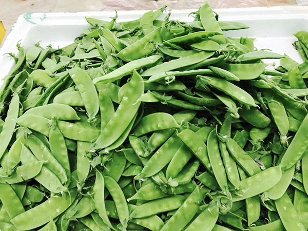 东莞饭堂蔬菜配送荷兰豆