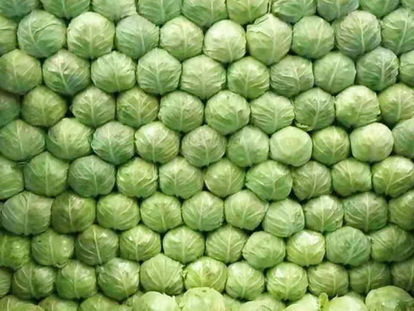 东莞食堂蔬菜配送