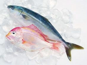 东莞食堂承包