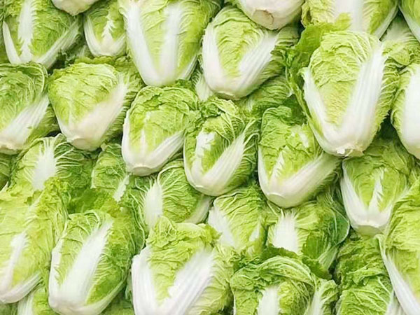 东莞饭堂蔬菜配送